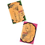 Pack Naruto - "A História Secreta de Kakashi - O Relâmpago Sob o Céu Gélido" e "A História Secreta de Sakura - Contemplações de Amor na Brisa de Prima