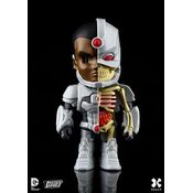 Xxray Cyborg