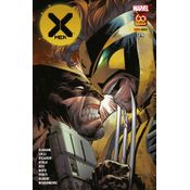 X-Men - Vol.29