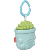 FISHER-PRICE PLANTINHA SUCULENTA C/SOM