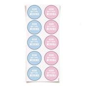 Acessórios para Festa - Adesivo Decorativo - Redondo - Chá Revelação - Azul e Rosa - 30 Un - Cromus