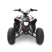 Mini Quadriciclo Infantil - Partida Elétrica - Brave 125cc - Preto - MXF Motors