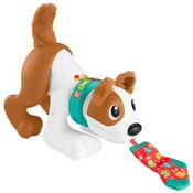 Cachorrinho Engatinha Comigo Fisher-Price Hhc55