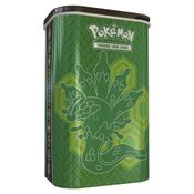 Pokemon Lata - Porta-Cards Zygarde/volcanion - Verde