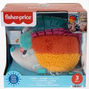 Fisher Price Ouriço de Pelucia