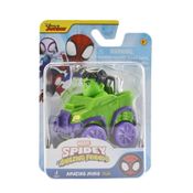 Spidey And His Amazing Friends - Mini Veículo - Hulk - Sunny