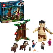 Lego 75967 Harry Potter - O Encontro de Grope e Umbridge