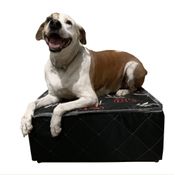 Cama Box para Pet 60x60x22cm Grande, cães e gatos Orthovida