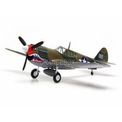 Avião P-40M China 1945 1:48 Easy Model