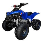 Quadriciclo 125cc com Ré Motor 4 Tempos Partida Elétrica WATVR125AZ - Azul