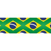 FITA CETIM COPA DO MUNDO FITA CETIM 38MM 10M. BANDEIRA UNIDADE FITAS PROGRESSO