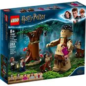 Lego Harry Potter Floresta Proibida: Grope e Umbridge 75967