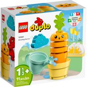 Lego Duplo Cenoura Crescendo 10981 11pcs