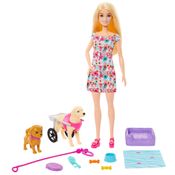 Conjunto Boneca E Acessórios - Barbie - Passeio Com Animais De Estimação - Mattel