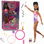 Boneca Barbie Negra Ginasta Com Pet e Acessórios 3+ Mattel