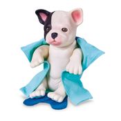 Coleção Bebê Pet - Filhotinhos Hora do Banho - Buldogue - Roma Jensen