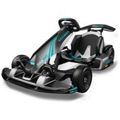 Kart de Corrida Elétrico e Recarregável de Alta Velocidade 37 km/h, Alcance 24 km, Para Adolescentes de 14 a 18 Anos, Segway Gokart Pro 2, Preto