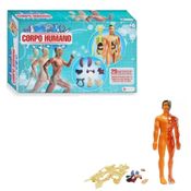 Jogo do Corpo Humano