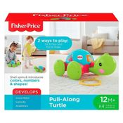 Brinquedo Para Bebê Puxe a Tartaruga Fisher Price