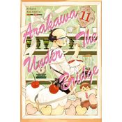 Arakawa Under The Bridge Vol. 11