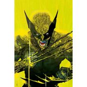 Wolverine (2022) Vol. 1 - Capa Variante CCXP