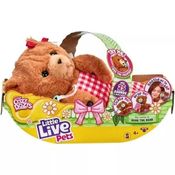 Little Live Pets - Cozy Dozy - Fun