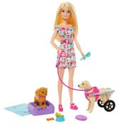 Boneca Barbie Passeio Com Pet Na Cadeira de Rodas - Mattel