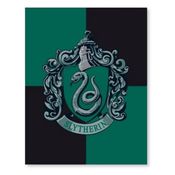 Quadro De Metal Slim Sonserina Harry Potter Zona Criativa 10082741