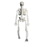 Caveira de Halloween Kit 2 Esqueletos Humano Articulado Realista 3D para Decoração dia das Bruxas Casa e Quintal