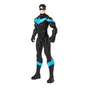 Nightwing 12 Pol - Sunny 002180