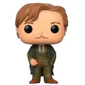 Funko Pop Harry Potter Remus Lupin 45