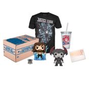 Funko Box Legion Of Collectors Box Justice League (Tam G)
