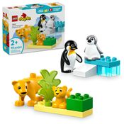 LEGO - DUPLO Town - Famílias de Animais Selvagens: Pinguins e Leões - 10442