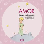 Livro Amor - Frases Cativantes de Antoine de Saint-Exupéry - VR Editora