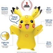 Pokémon - Meu Parceiro Pokémon