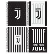 Caderno Juventus 200 Fls 10 Materias Juve Sortido - Jandaia