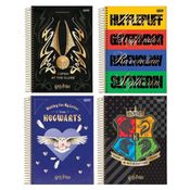Kit 2 Cadernos Harry Potter 200 Fls Decorada 10 Materias - Jandaia