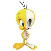 Boneco Looney Tunes Piu Piu Tweety XxRay  Edição Limitada