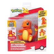 Meu Parceiro Pokémon Charmander - Sunny