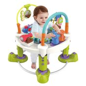 Cadeira Centro de Atividades Infantil Gira 360 Zoo Maxi Baby