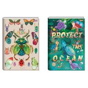 Caderno Broch. Univ. CP 80 Folhas – Dream Jandaia