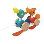 PATOS PARA PASSEAR COM RODINHAS - MAPED