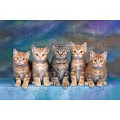 Kit 2 Quebra-Cabeça Inclusivos Gatos Espertos de 24 Peças grandes
