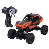 Carrinho Multi Road 4x4 USB controle remotto Zippy RC24171