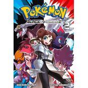 Pokémon Black 2 & White 2 Vol. 02
