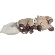 Pelucia Pokemon Rockruff Sleeping 45cm Sunny 3485