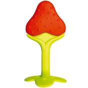 Mordedor Silicone Com Estojo Morango Kababy