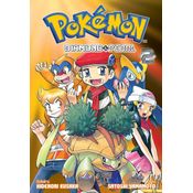Pokémon diamond and pearl vol. 2
