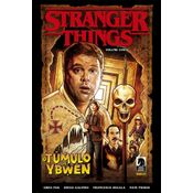Stranger things vol. 5