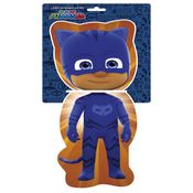 Pj Mask Menino Gato - Livro De Banho